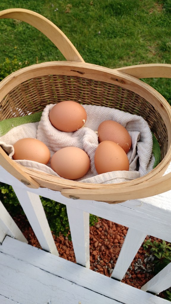 IMG_20160326_084246820