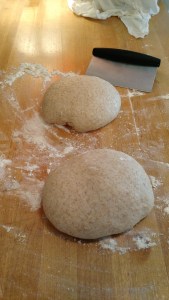 IMG_20160409_131313085