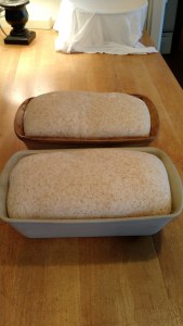 IMG_20160409_150346001