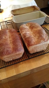 IMG_20160409_161710014