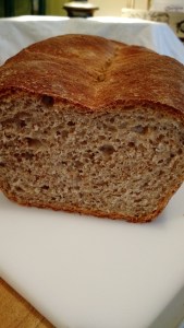 IMG_20160409_172948204