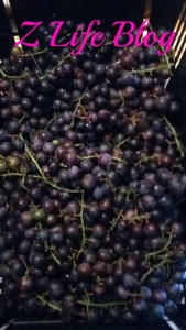 grapes
