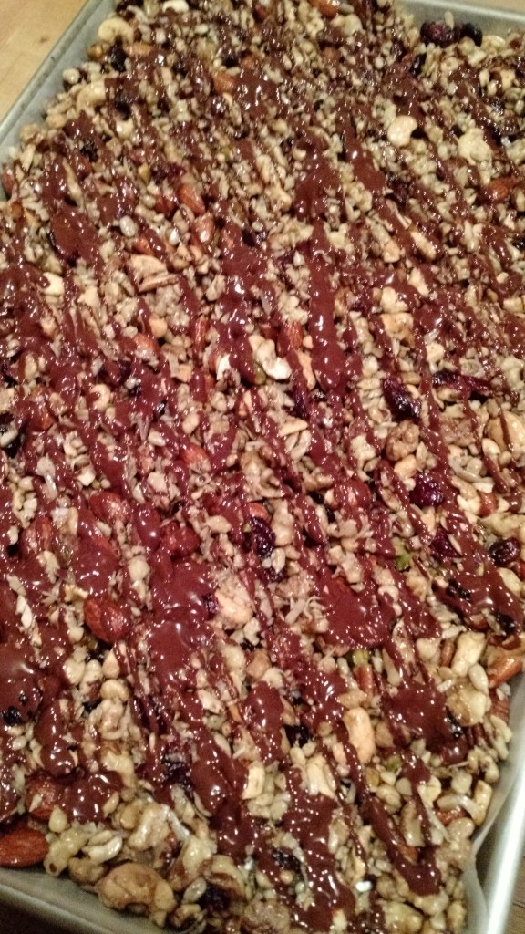 chocolate-coconut-nut-bars